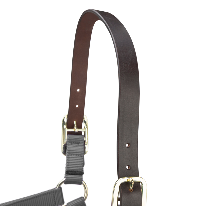 Shires ARMA Premium Adjustable FieldSafe Headcollar - Grey-1