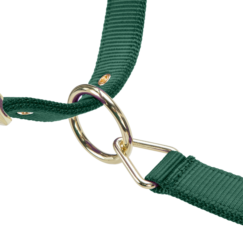Shires ARMA Premium Adjustable FieldSafe Headcollar - Hunter-3