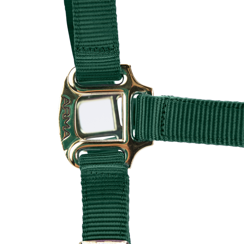 Shires ARMA Premium Adjustable FieldSafe Headcollar - Hunter-1