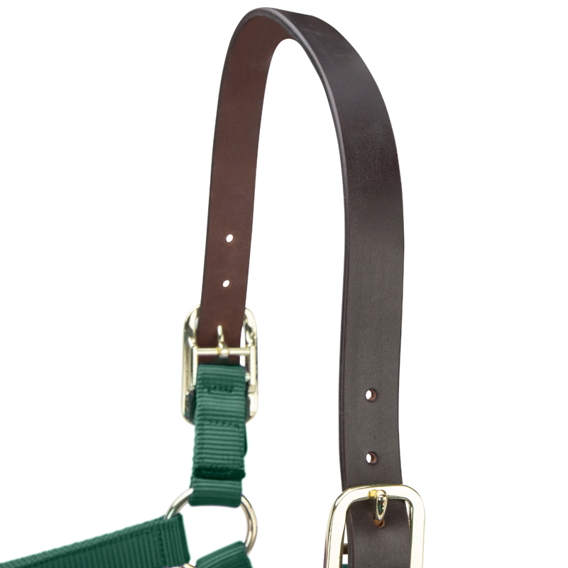 Shires ARMA Premium Adjustable FieldSafe Headcollar - Hunter-2