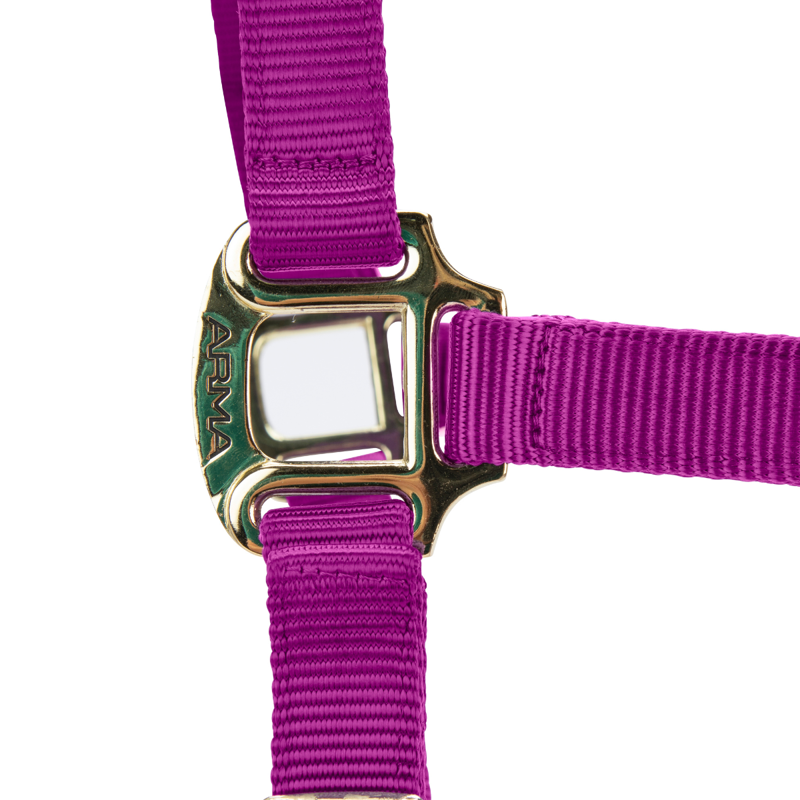 Shires ARMA Premium Adjustable FieldSafe Headcollar - Raspberry-1