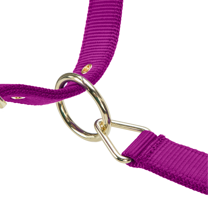 Shires ARMA Premium Adjustable FieldSafe Headcollar - Raspberry-2