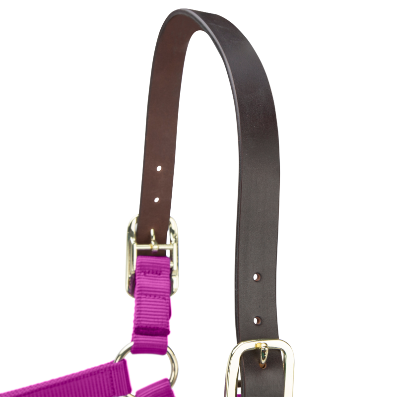 Shires ARMA Premium Adjustable FieldSafe Headcollar - Raspberry-3