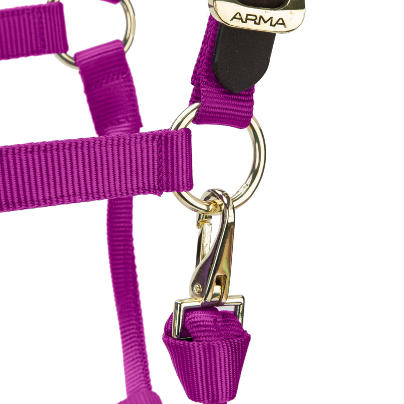 Shires ARMA Premium Adjustable FieldSafe Headcollar - Raspberry-4