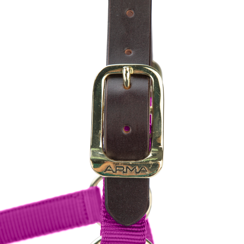 Shires ARMA Premium Adjustable FieldSafe Headcollar - Raspberry-5