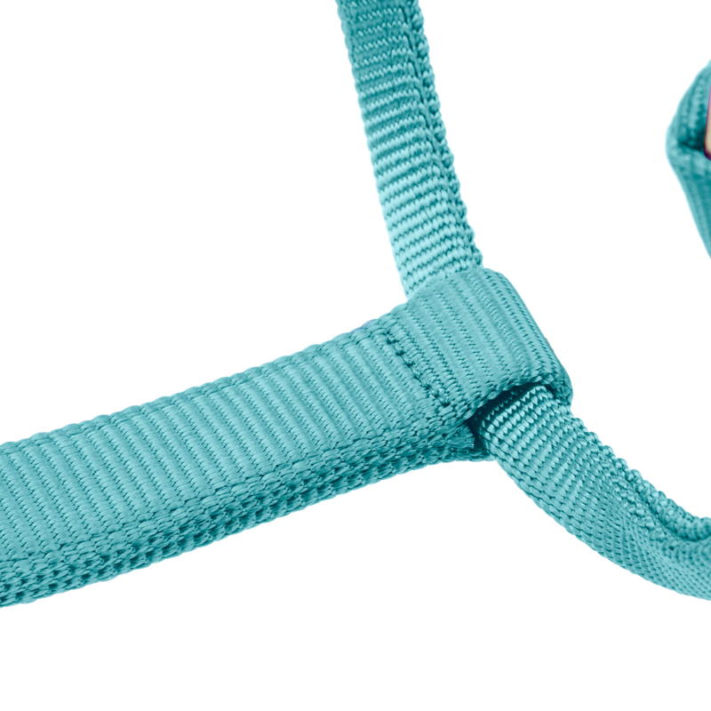 Shires ARMA Premium Adjustable FieldSafe Headcollar - Teal-2