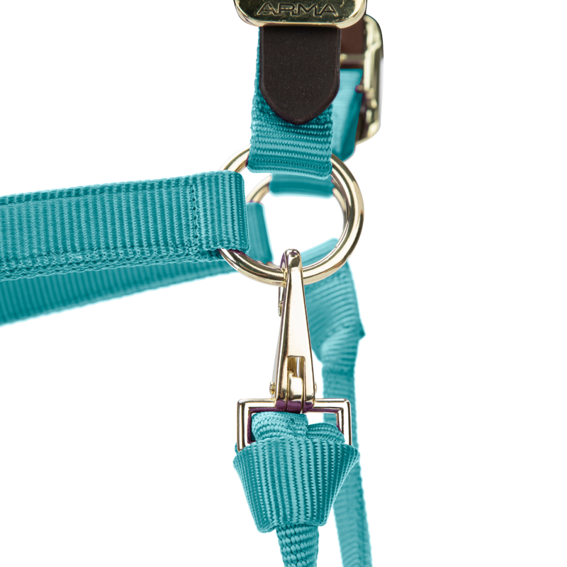 Shires ARMA Premium Adjustable FieldSafe Headcollar - Teal-3
