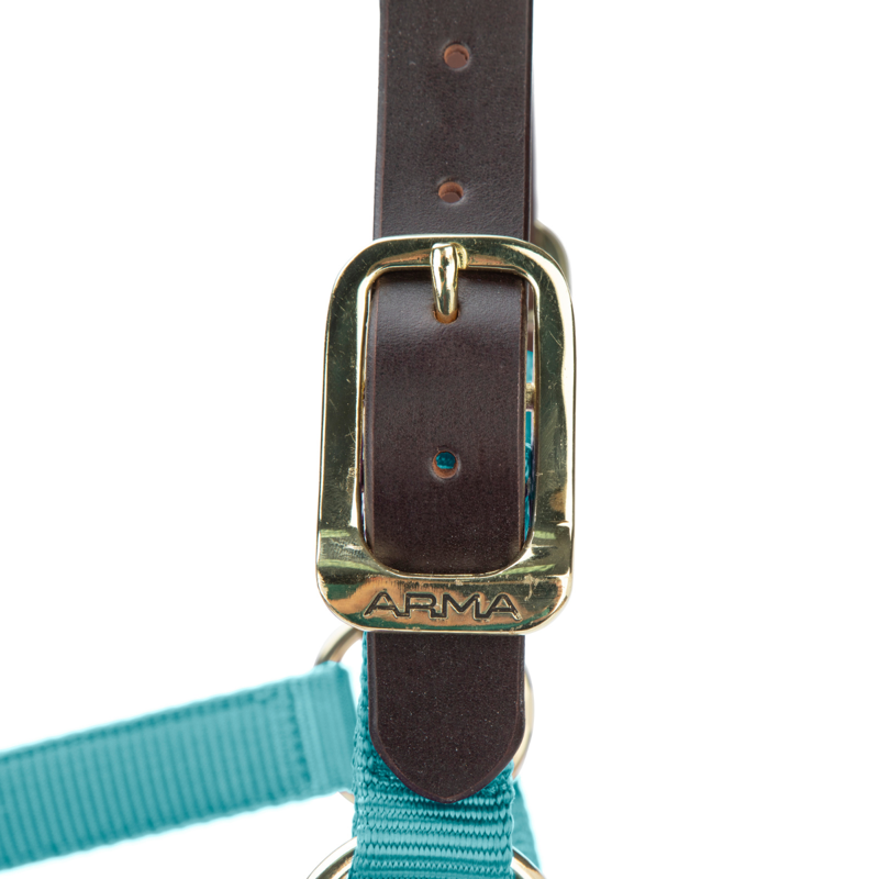 Shires ARMA Premium Adjustable FieldSafe Headcollar - Teal-1