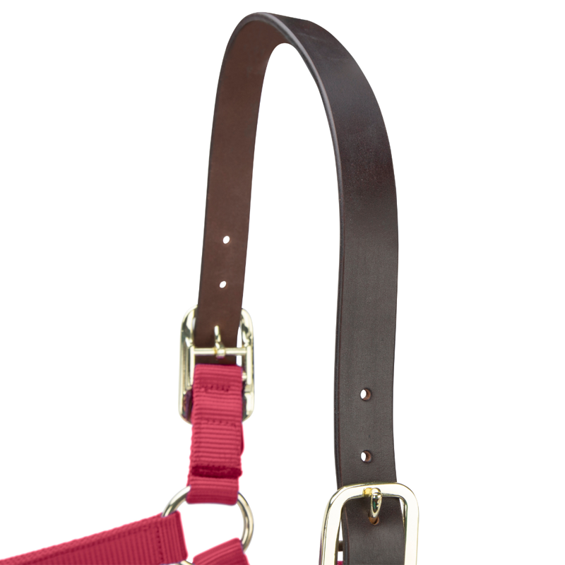 Shires ARMA Premium Adjustable FieldSafe Headcollar - Red-1