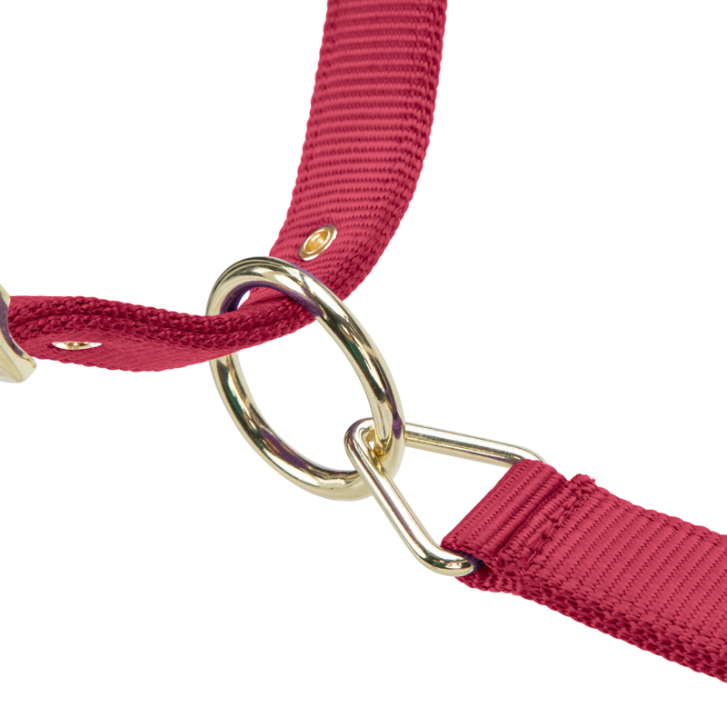Shires ARMA Premium Adjustable FieldSafe Headcollar - Red-3