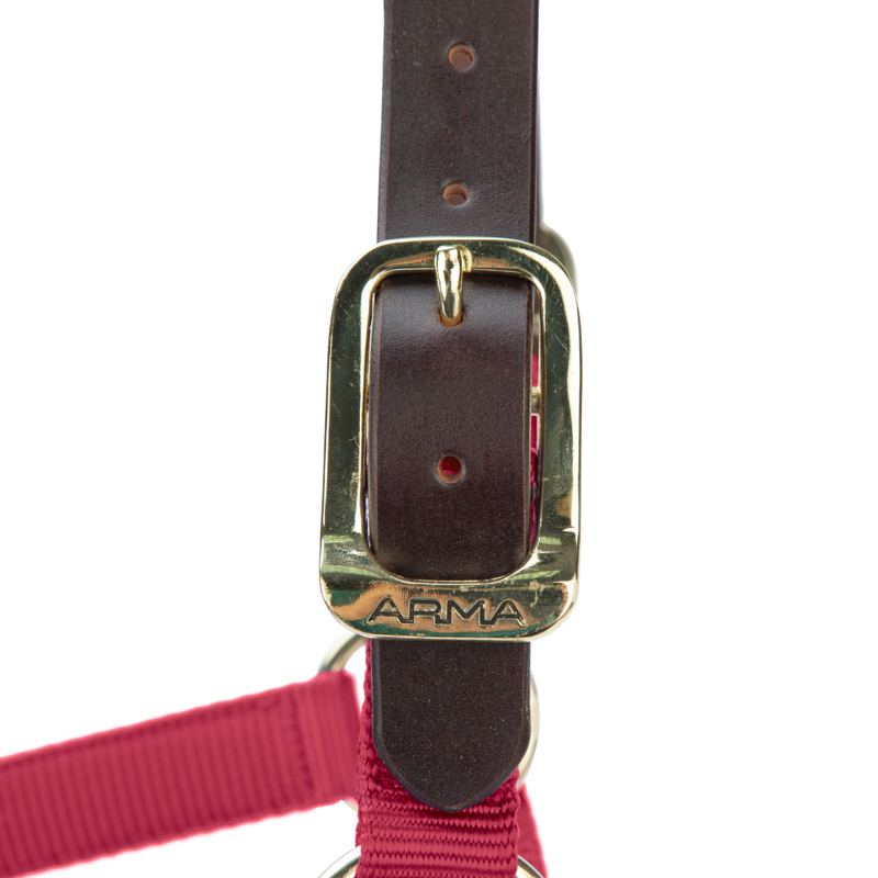 Shires ARMA Premium Adjustable FieldSafe Headcollar - Red-5