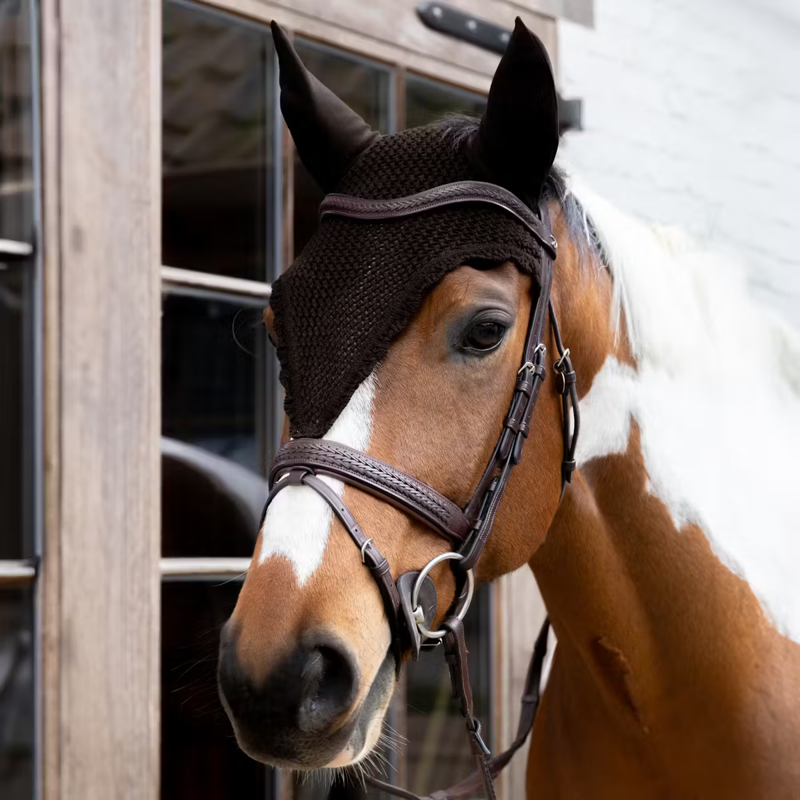 Kentucky Long Fly Veil Full - Brown-1