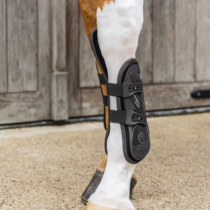 Kentucky Tendon Boots with Elastic Knee Protection M - Black-1