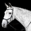 Horseware Micklem Bitless Bridle - Brown
