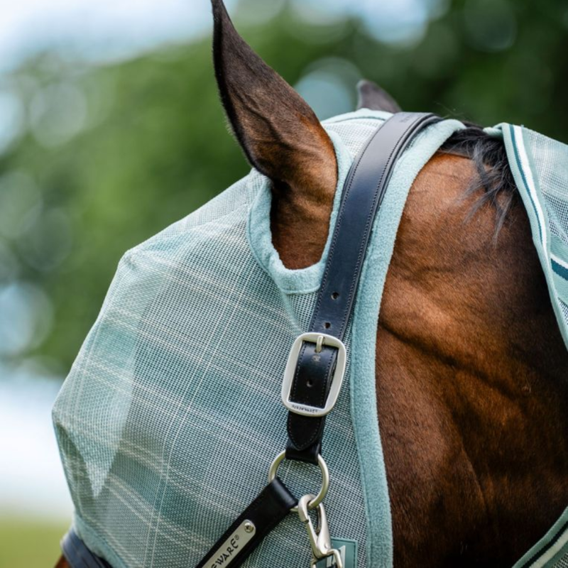 Horseware Newmarket Fly Mask No Ears - Witney Dynasty-3