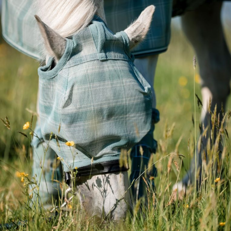 Horseware Newmarket Fly Mask No Ears - Witney Dynasty-2