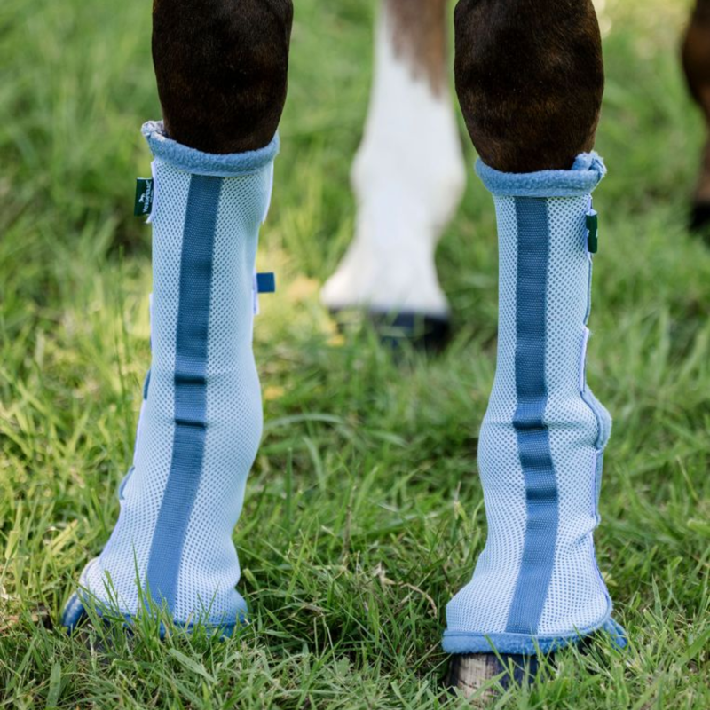 Horseware Fly Boots - Set of 2 - Heather Blue/Blue/Silver-1