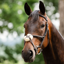 Horseware Figure 8 Grackle Bridle - Brown