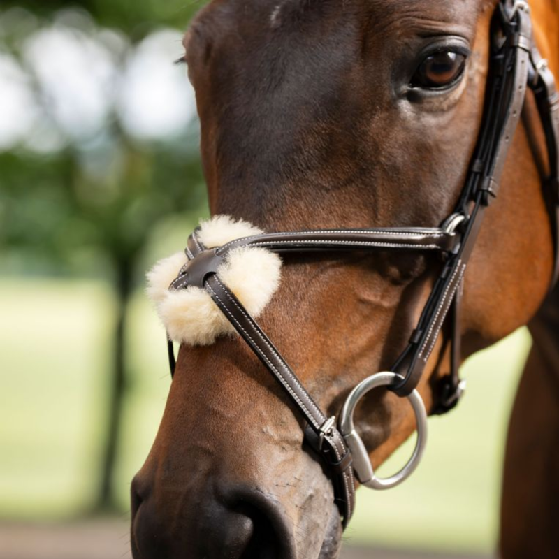 Horseware Figure 8 Grackle Bridle - Brown-3