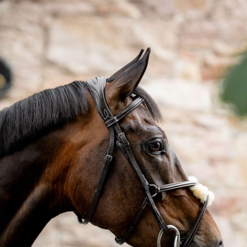 Horseware Figure 8 Grackle Bridle - Brown-1