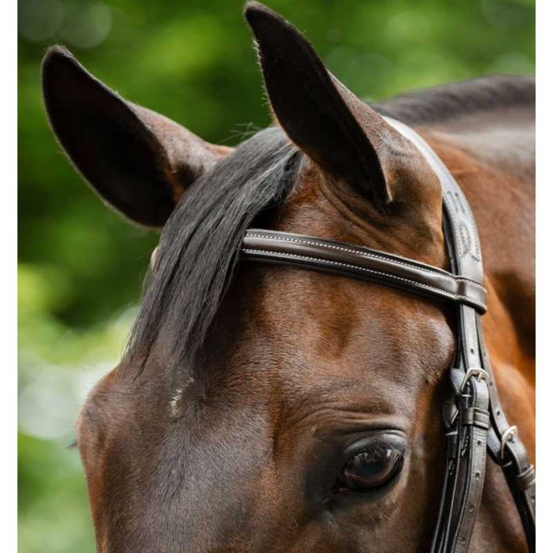 Horseware Figure 8 Grackle Bridle - Brown-4