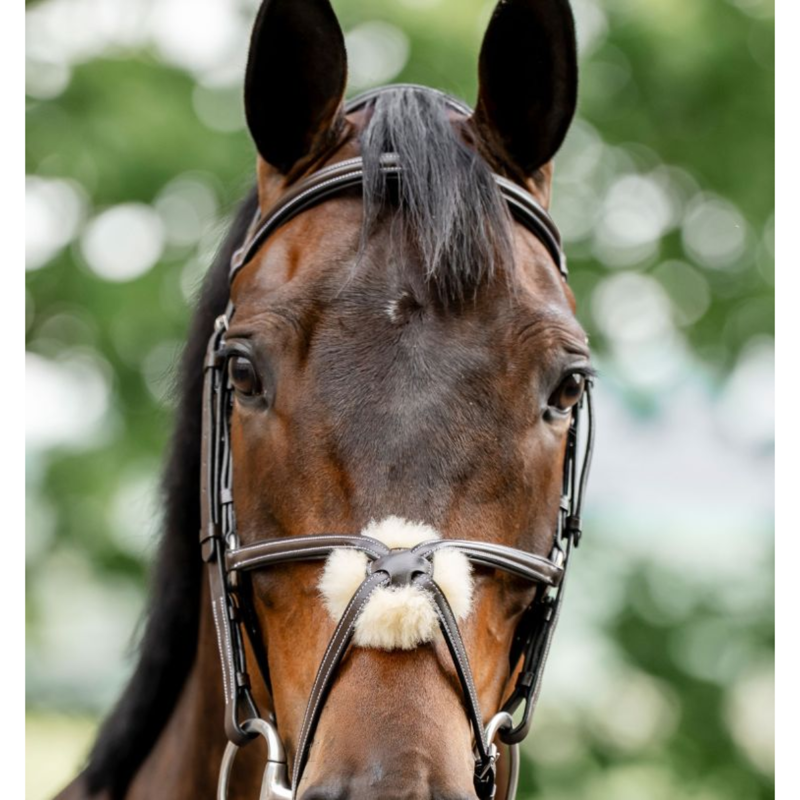 Horseware Figure 8 Grackle Bridle - Brown-2
