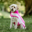 Horseware Newmarket Dog Fleece - Witney Pink