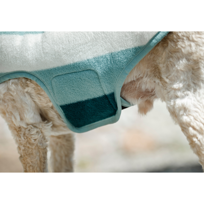 Horseware Newmarket Dog Fleece - Witney Dynasty-2