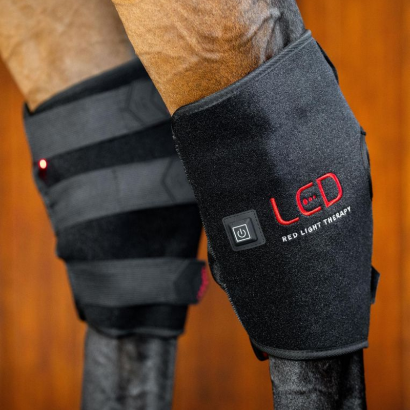 Horseware LED Red Light Therapy Hock Boots Pair - Black/Black