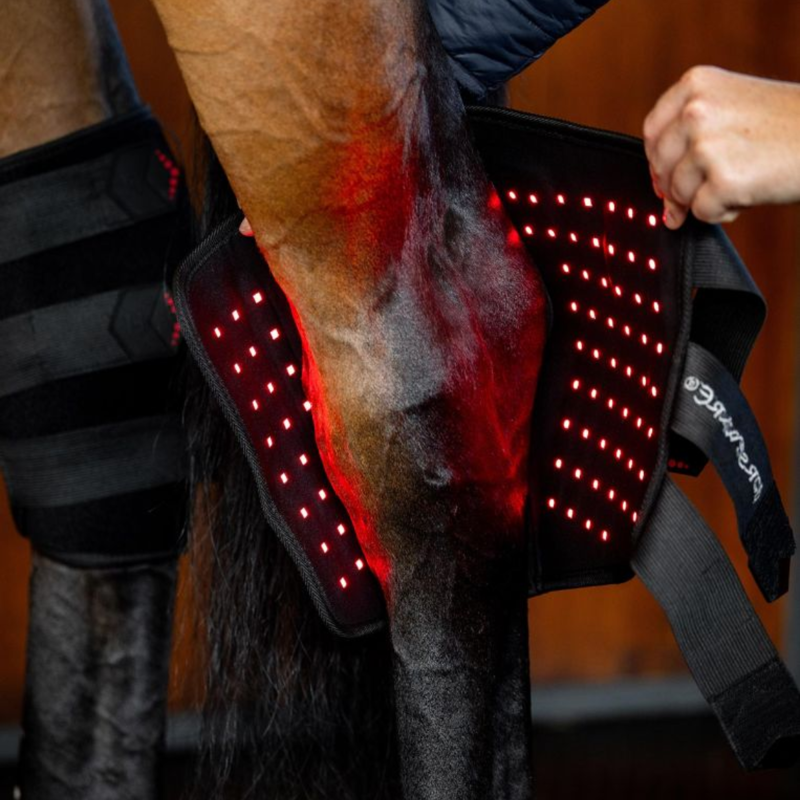 Horseware LED Red Light Therapy Hock Boots Pair - Black/Black-1