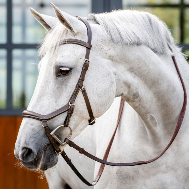 Horseware Micklem Deluxe Competition Bridle - Dark Havana