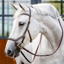 Horseware Micklem Deluxe Competition Bridle - Dark Havana