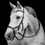 Horseware Micklem Deluxe Competition Bridle - Black