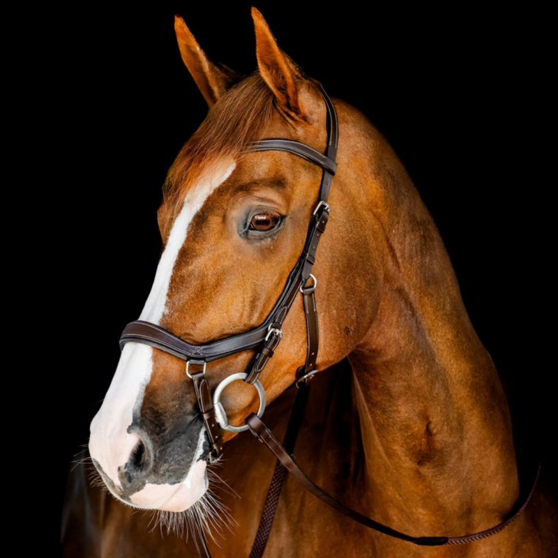 Horseware Micklem Competition Bridle - Dark Havana