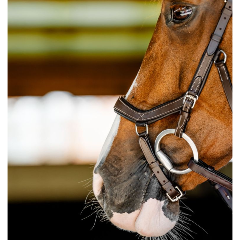 Horseware Micklem Competition Bridle - Dark Havana-4