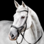 Horseware Micklem Competition Bridle - Black