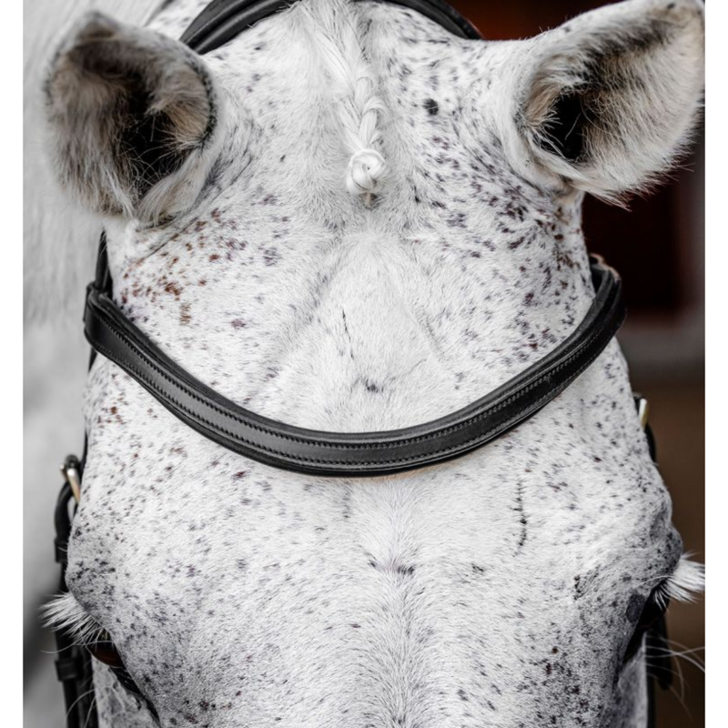Horseware Micklem Competition Bridle - Black-1
