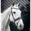 Horseware Diamante Flash Bridle - Black/Silver
