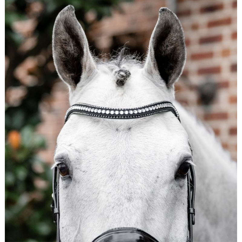 Horseware Diamante Flash Bridle - Black/Silver-2