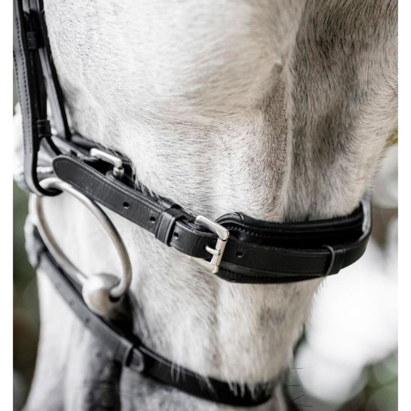 Horseware Diamante Flash Bridle - Black/Silver-3