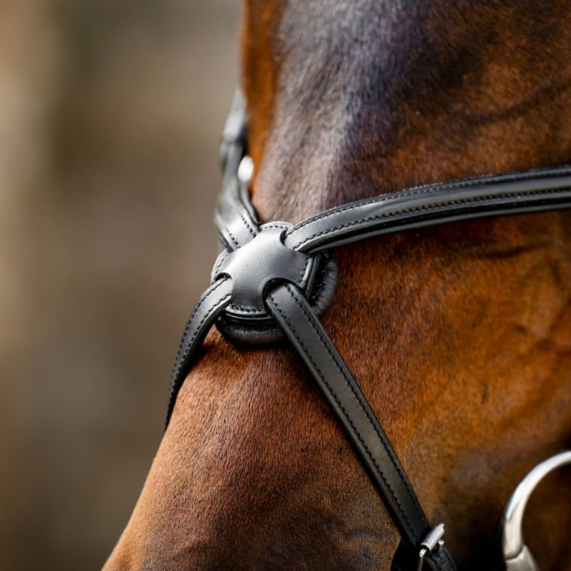 Horseware Figure 8 Grackle Bridle - Black-3