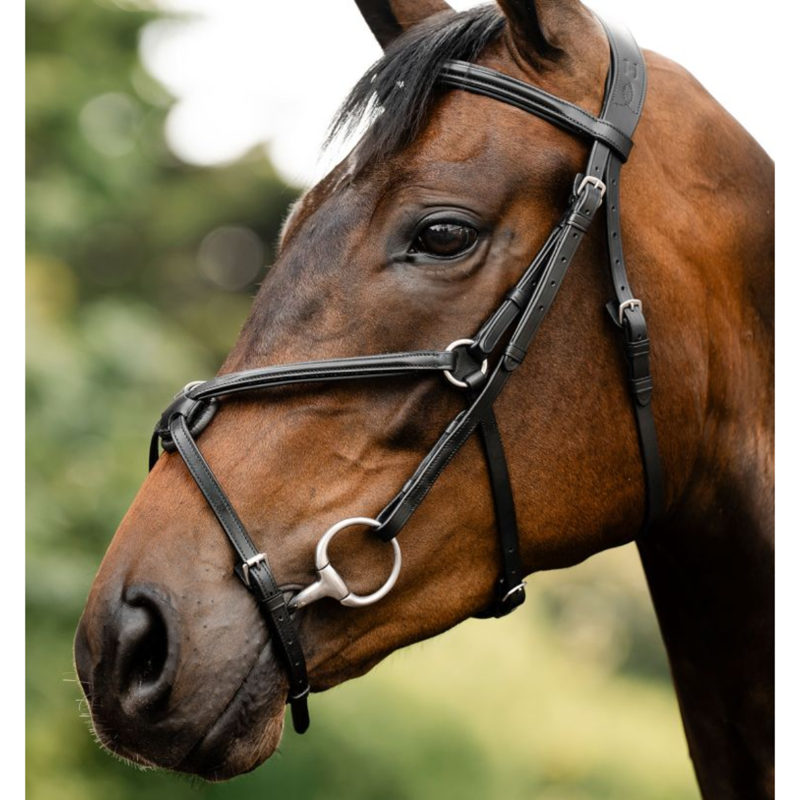 Horseware Figure 8 Grackle Bridle - Black-2