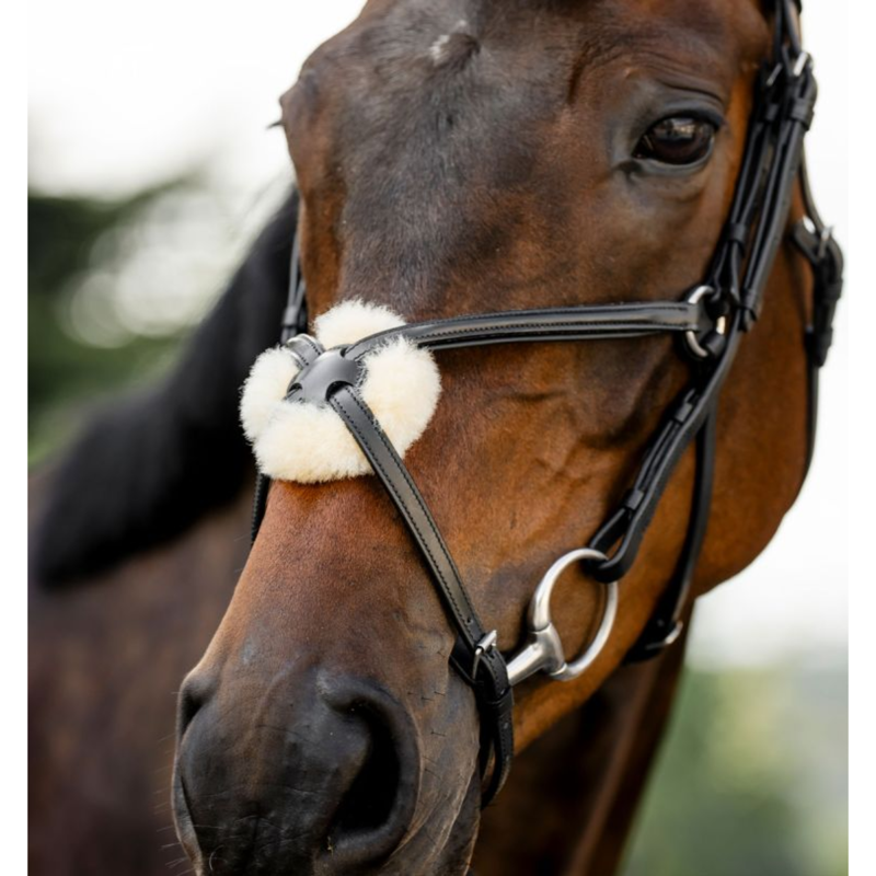 Horseware Figure 8 Grackle Bridle - Black-1