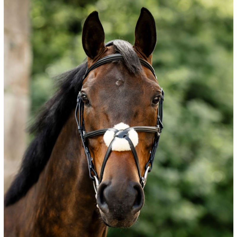Horseware Figure 8 Grackle Bridle - Black-5
