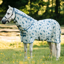 Horseware Amigo Bug Rug Plus Pony Fly Sheet - Dragonfly Print/Silver/Blue/Sage