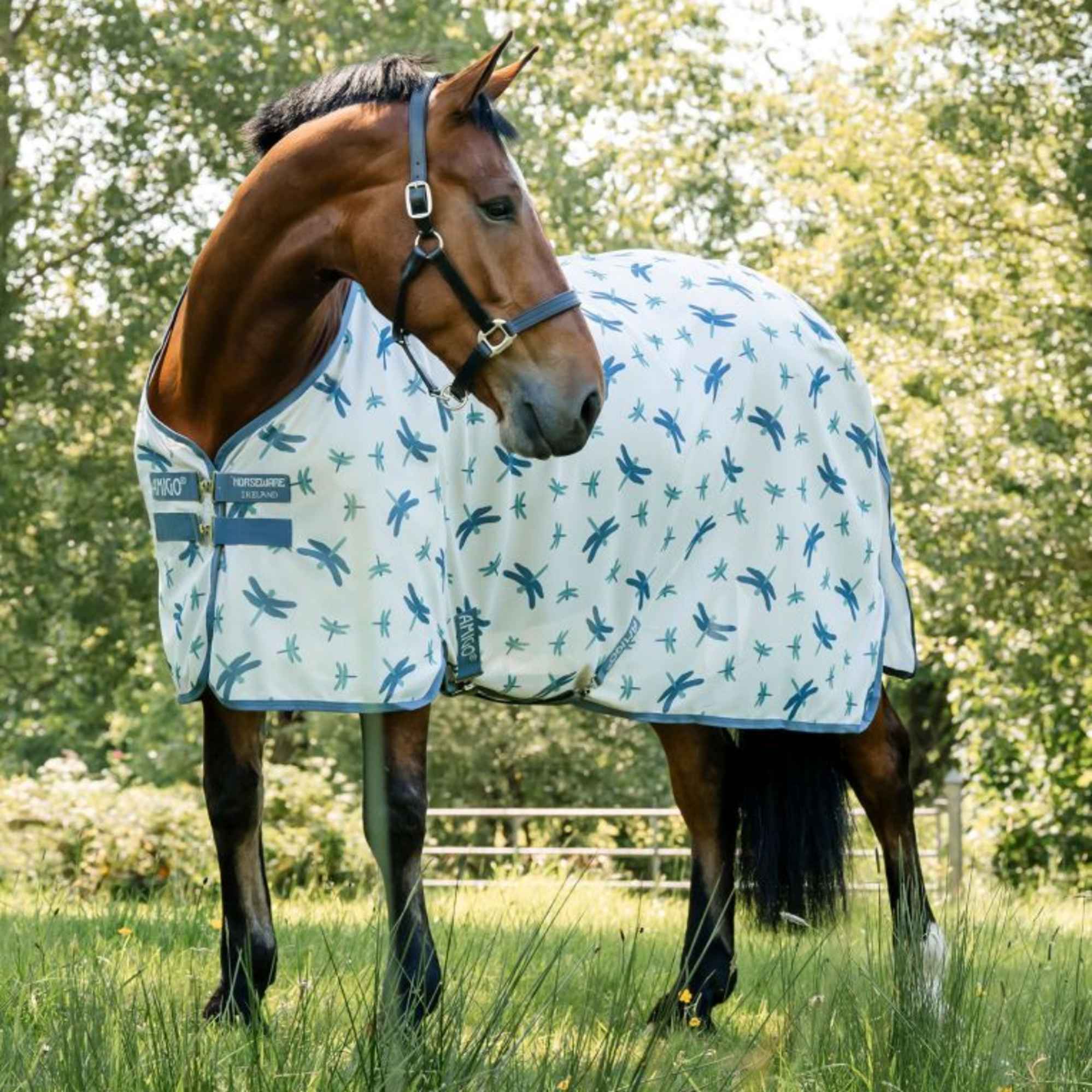 Horseware Amigo Bug Rug XL Plus Fly Sheet - Dragonfly Print/Silve