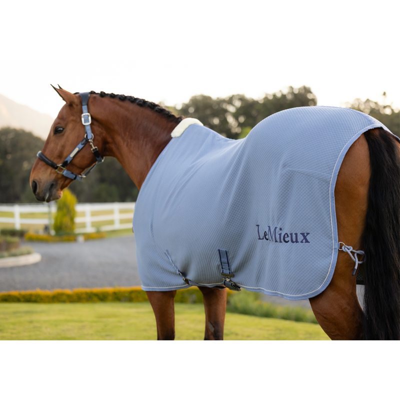 LeMieux Kudos Bamboo Cooler - Powder Blue-2