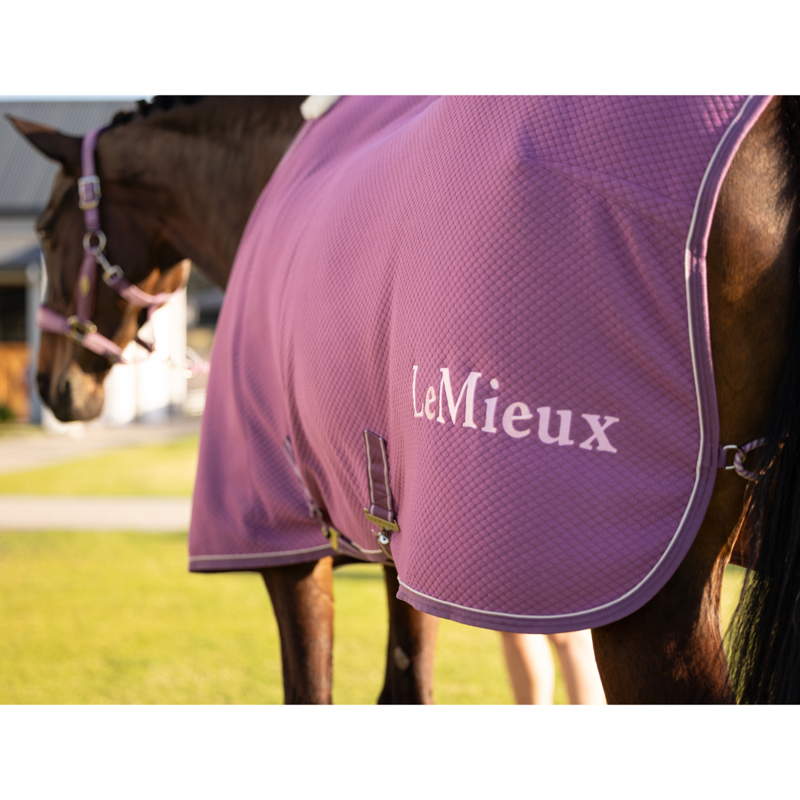 LeMieux Kudos Bamboo Cooler - Mallow-7