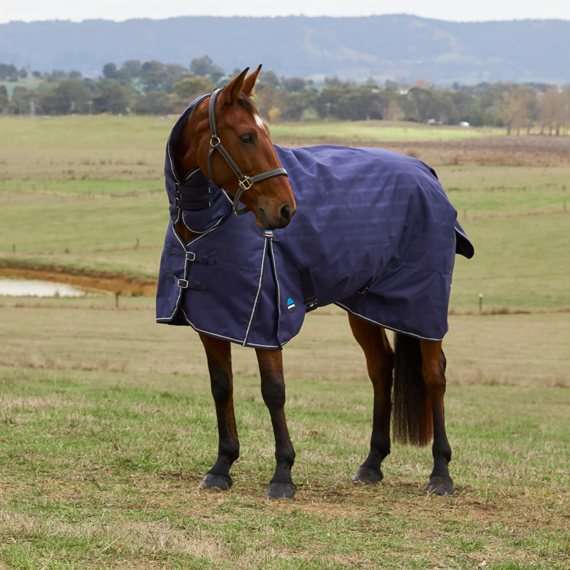 WeatherBeeta ComfiTec Prelim Turnout Combo 0g Rug - Navy Embossed Plaid-10