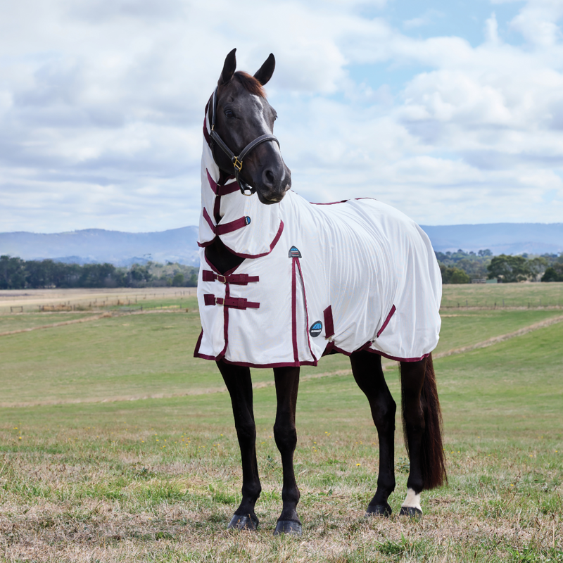 WeatherBeeta ComfiTec Essential Combo Fly Sheet - White/Burgundy-7